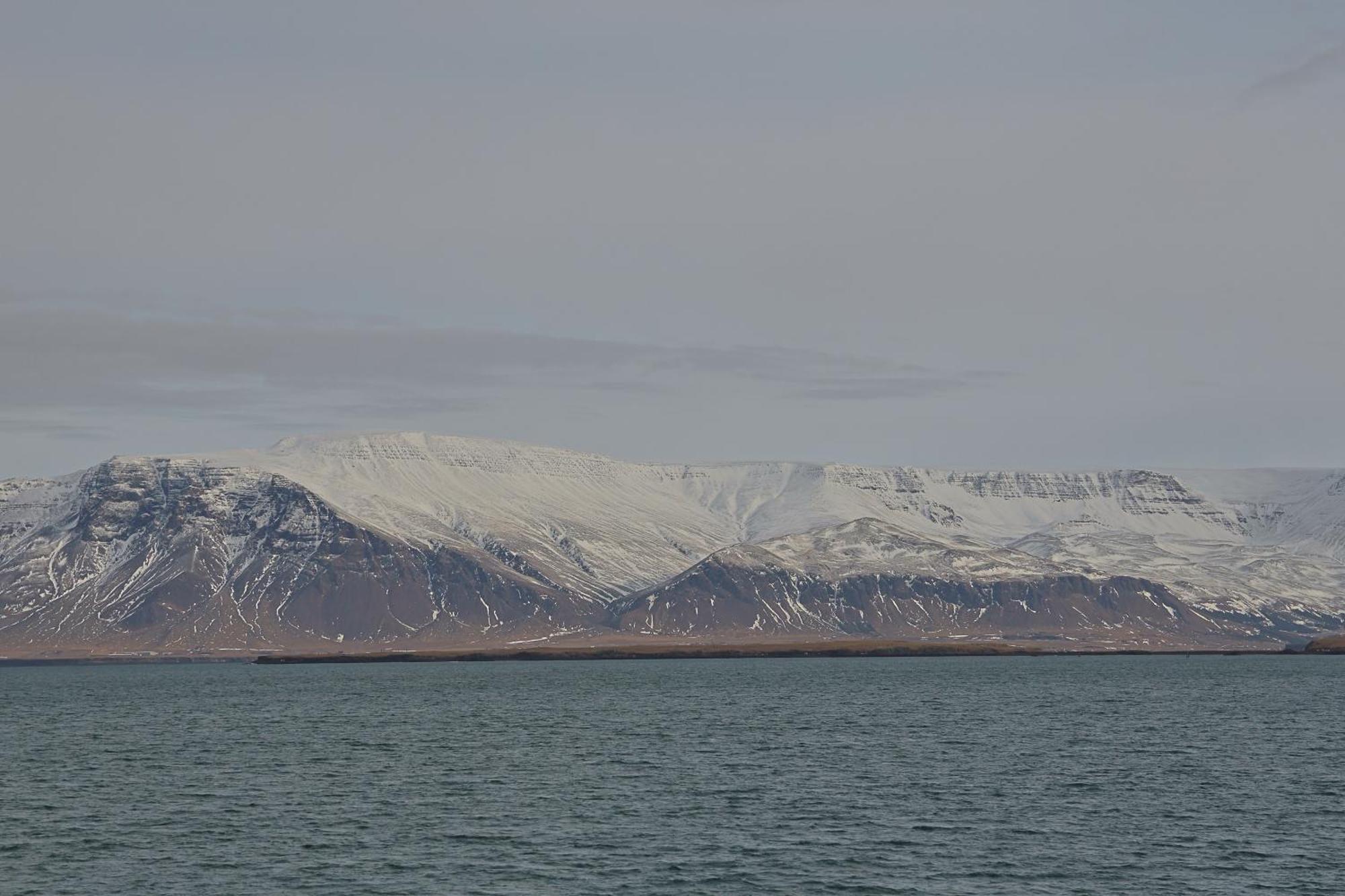 Lagertha'S Apartment,Downtown Reykjavík Eksteriør billede